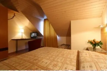 Des Alpes 3*