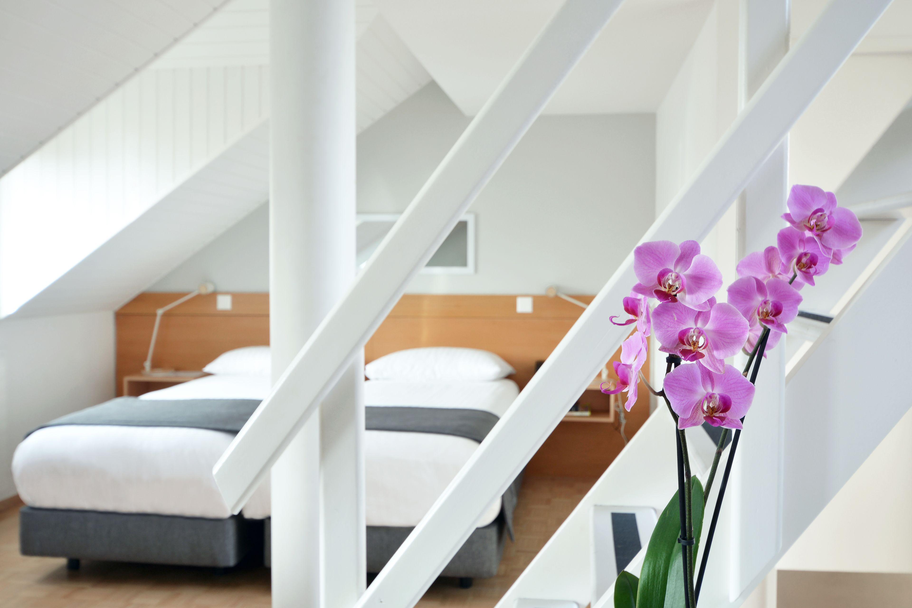 Des Alpes 3* Genève