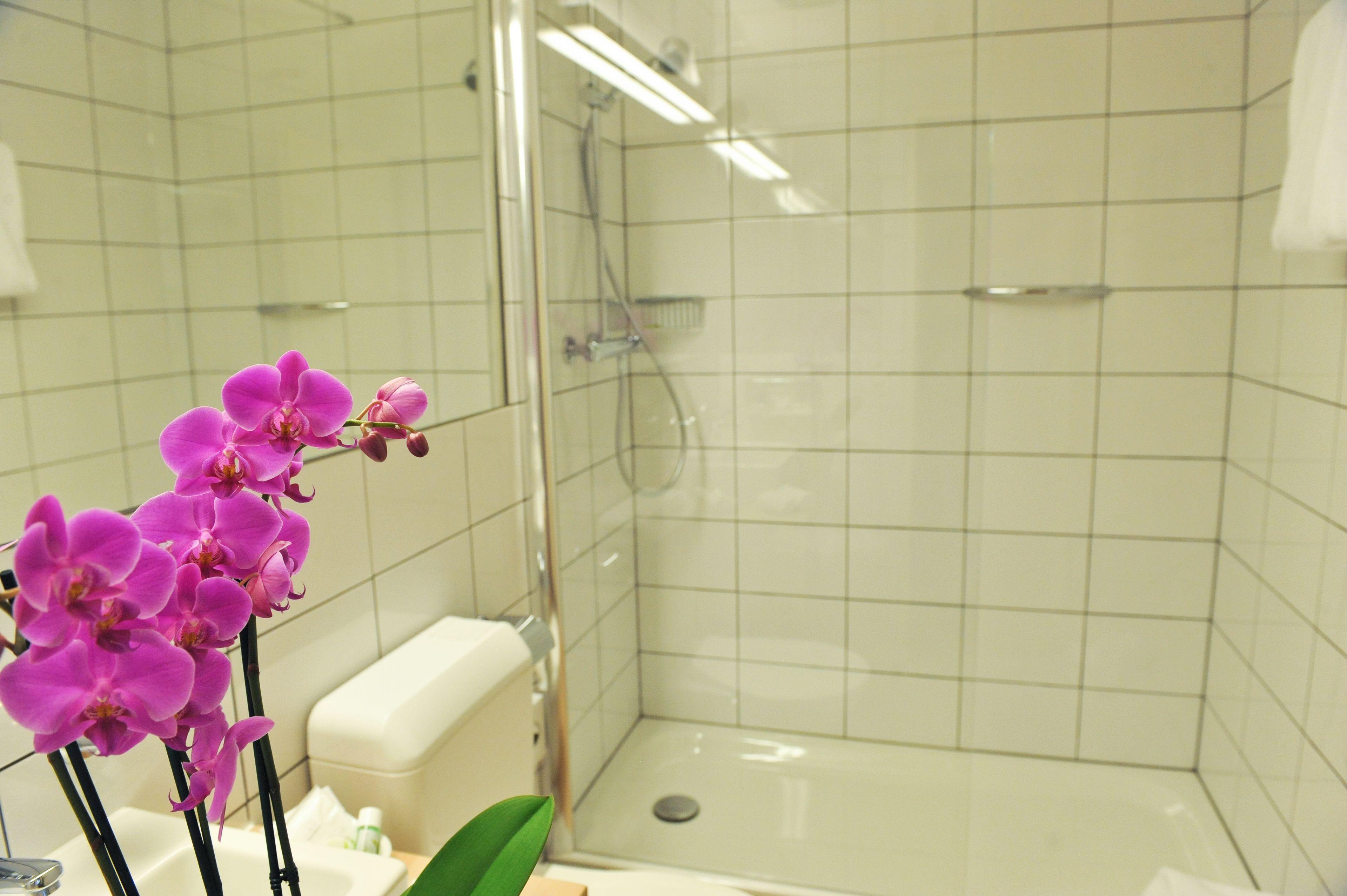 Hotel Des Alpes Ginebra